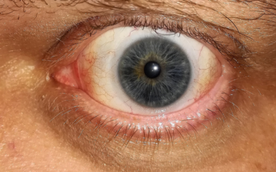 Mir graut es in der virtuellen Realität